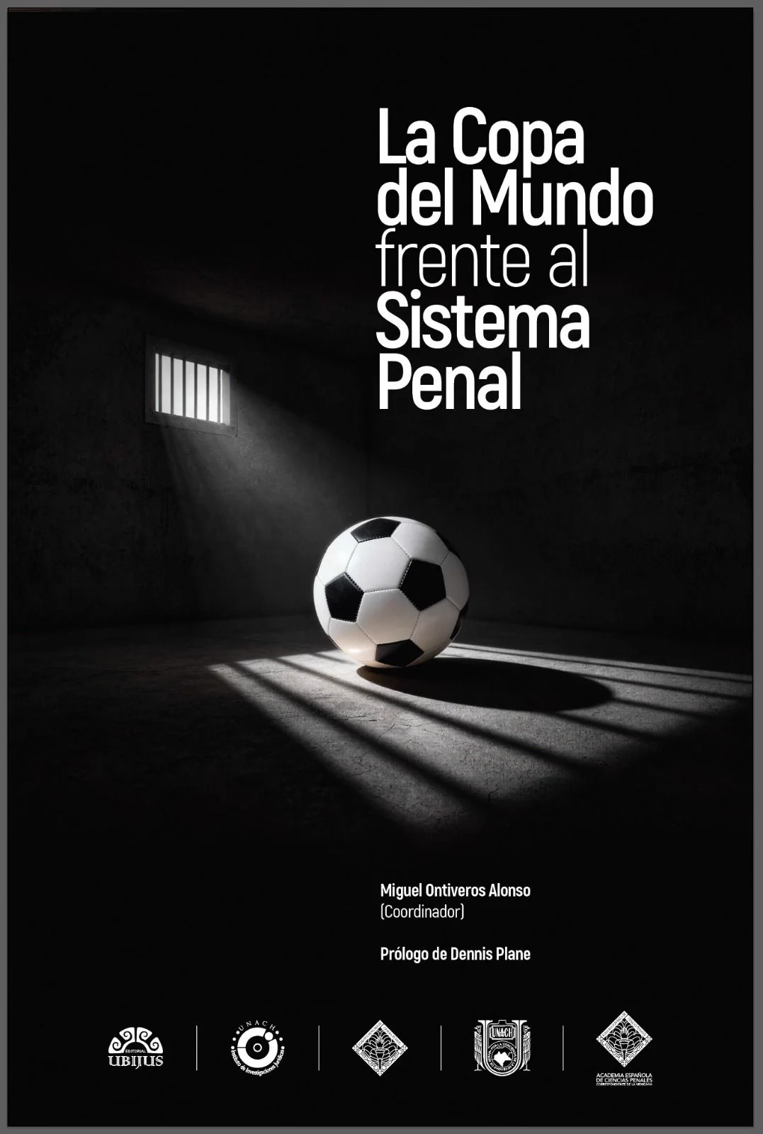 La Copa del Mundo frente al Sistema Penal